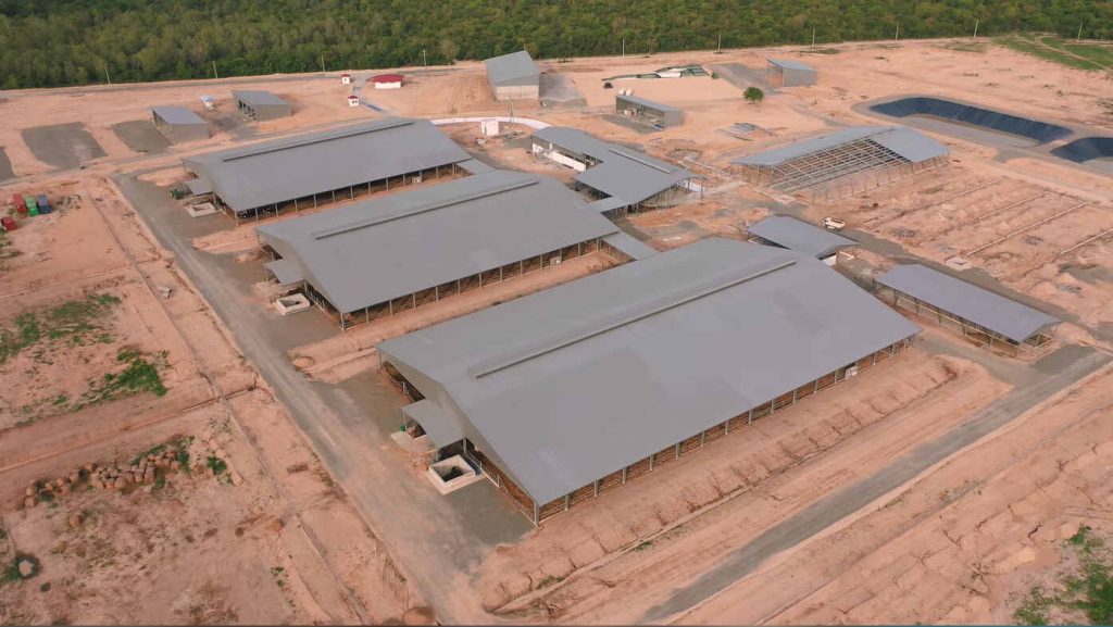 Ứng dụng nhà thép tiền chế trong xây dựng công trình nông nghiệp
